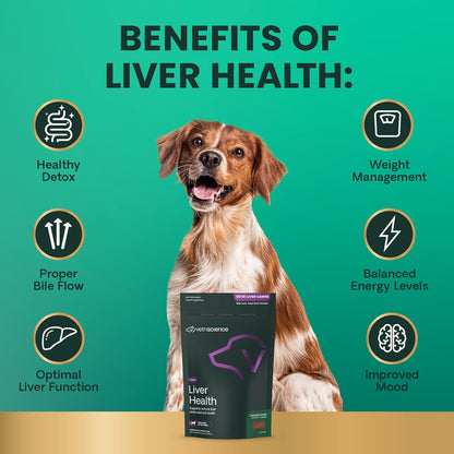 VetriScience Liver Health Chews with Milk Thistle, Vetri Liver Detox Supplement for Dogs, Turmeric and Artichoke Leaf for Liver Support and Detoxification, Chicken, 60 Count