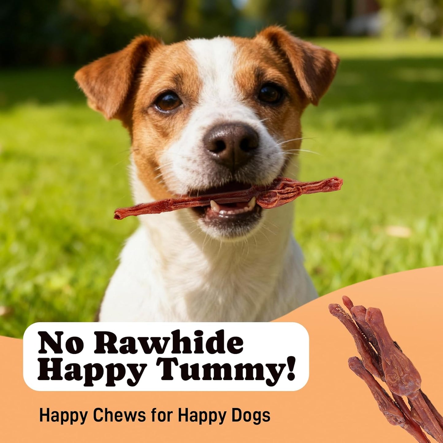 Chicken&Bullly Flavor Dog Chews Long Lasting Low Odor & High Protein Dog Snacks for Small Dogs & Puppies
