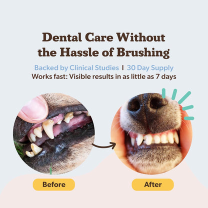 Natural Dog Company Dental Powder for Dogs – Freshens Breath & Helps Reduce Plaque & Tartar, Natural No-Brushing Canine Oral Health Postbiotic Supplement, Vet Formulated, Made in USA, 30-Day Supply