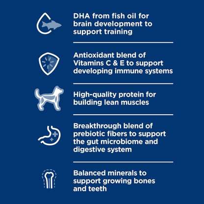 Hill's Science Diet Puppy, Puppy Premium Nutrition, Wet Dog Food, Chicken & Rice Stew, 12.5 oz Can, Case of 12