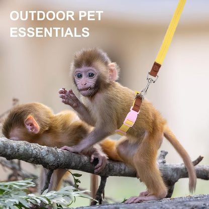 Mini Monkey Leash, Adjustable Monkey Strap with Belly Bands and Matching Leash for Marmoset Monkey, Maximum Dimension 5.7 Inches for Monkey, Comfortable and Durable