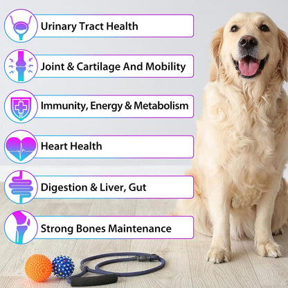 Dog Multivitamin,15 in 1 Dog Multivitamin Liquid Drops Supplements, Dog Vitamins for Heart Health, Bones, Joint, Skin & Coat, Bladder, Immune System Support 60ml-2pcs