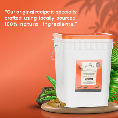 Kelcie’s Horse Care Essentials Bundle - Pumpkin Spice Horse Treats (5 lb) + Hoof Pick Brush Grooming Tool | Healthy Treats & Easy Hoof Cleaning