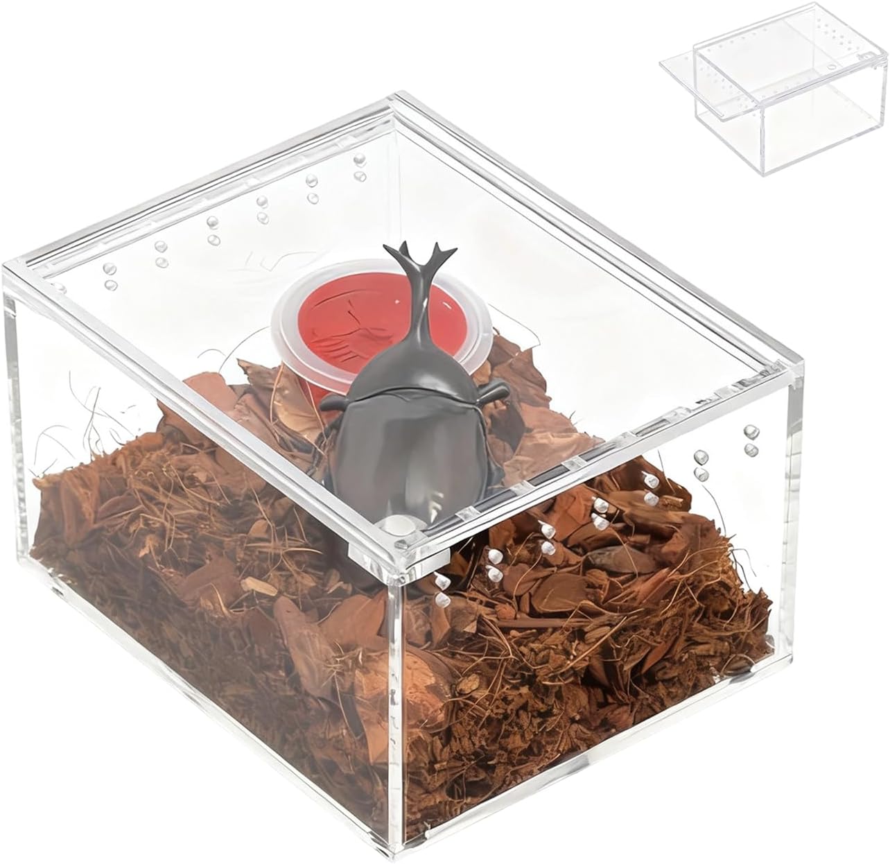 Jumping Spider Habitat,Transparent Breeding Feeding Tank,Acrylic Small Terrarium - for Lizard Frog Gecko Snail Turtle Observation Breeding Feeding