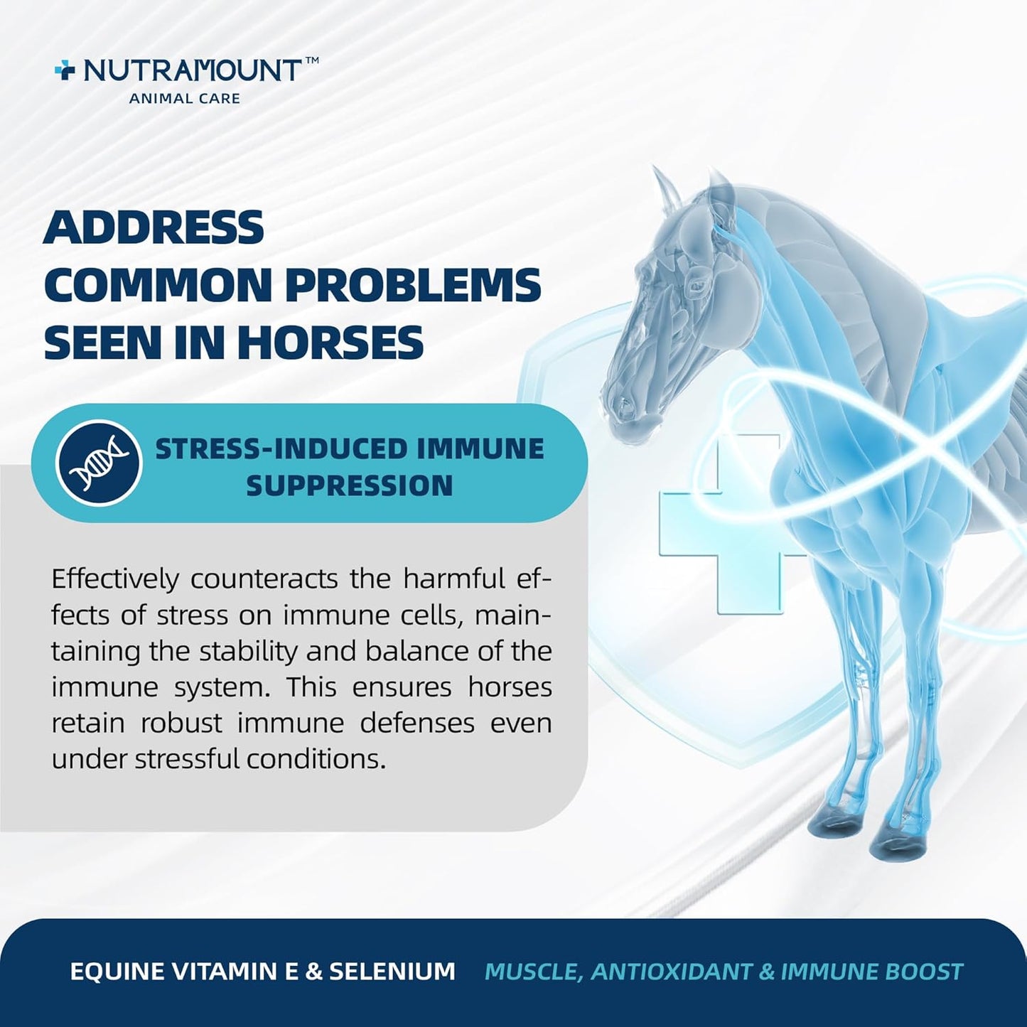 Balanced Natural Vitamin E & Selenium Powder Horse Supplement Supports Overall Health and Performance 30-Day Supply