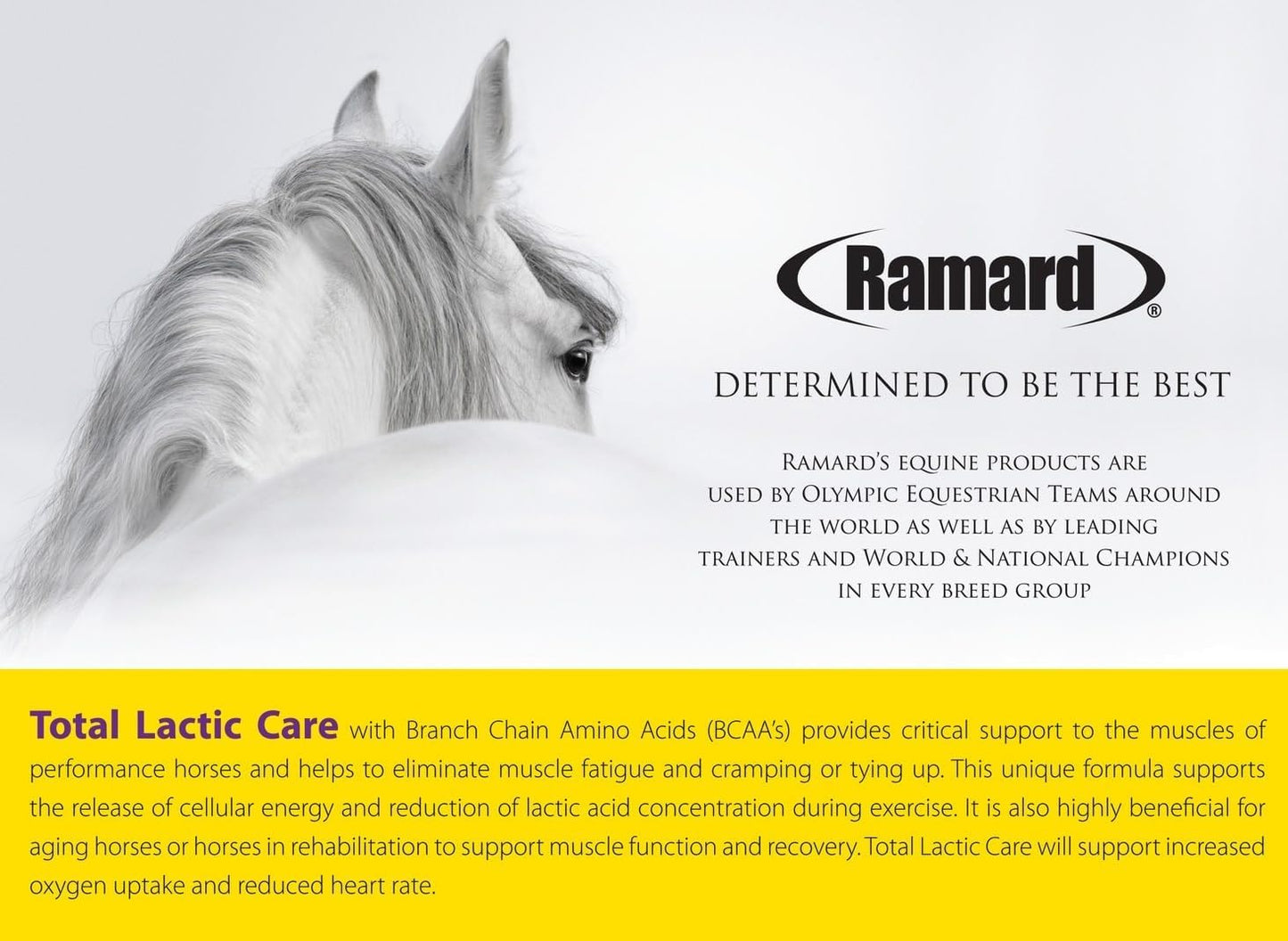 Ramard Total Lactic Care for Aging Horses, Supports Muscle Function, Energy & Stamina Horse Supplies, Vitamin & Supplements w/Branch Chain Amino Acids, 30cc Oral Syringe, 1pk