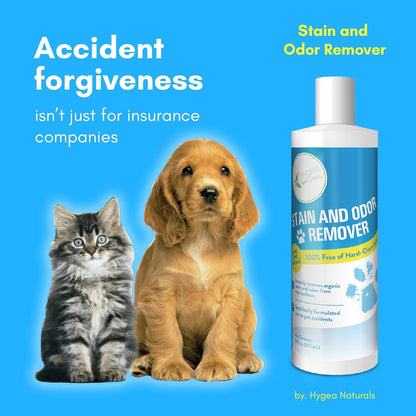 Hygea Natural Stain and Odor Eliminator, Pet Odor and Stain Remover for Urine & Vomit, Spot Carpet Cleaner for Small Animal, 16 Oz