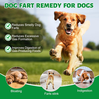 Dog Fart Remedy, Relief Smelly Farts with 4B CFU Pediococcus Acidilactici Probiotics, Digestive Enzymes, Dog Gas Relief to Help Gas & Bloating, Dogs Farts Relief, Dogs Gut Health Digestive Support