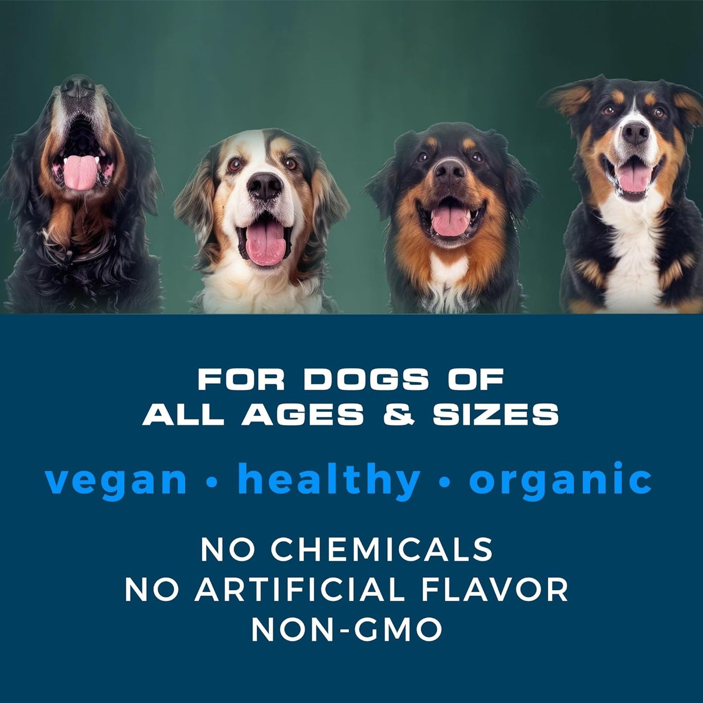 Dog Multivitamin Soft Chews | All-in-One Supplement for Immunity, Joints, Gut & Skin Health | Glucosamine Chondroitin, Vitamins & Probiotics | Roasted Peanut Flavor - 90 Count