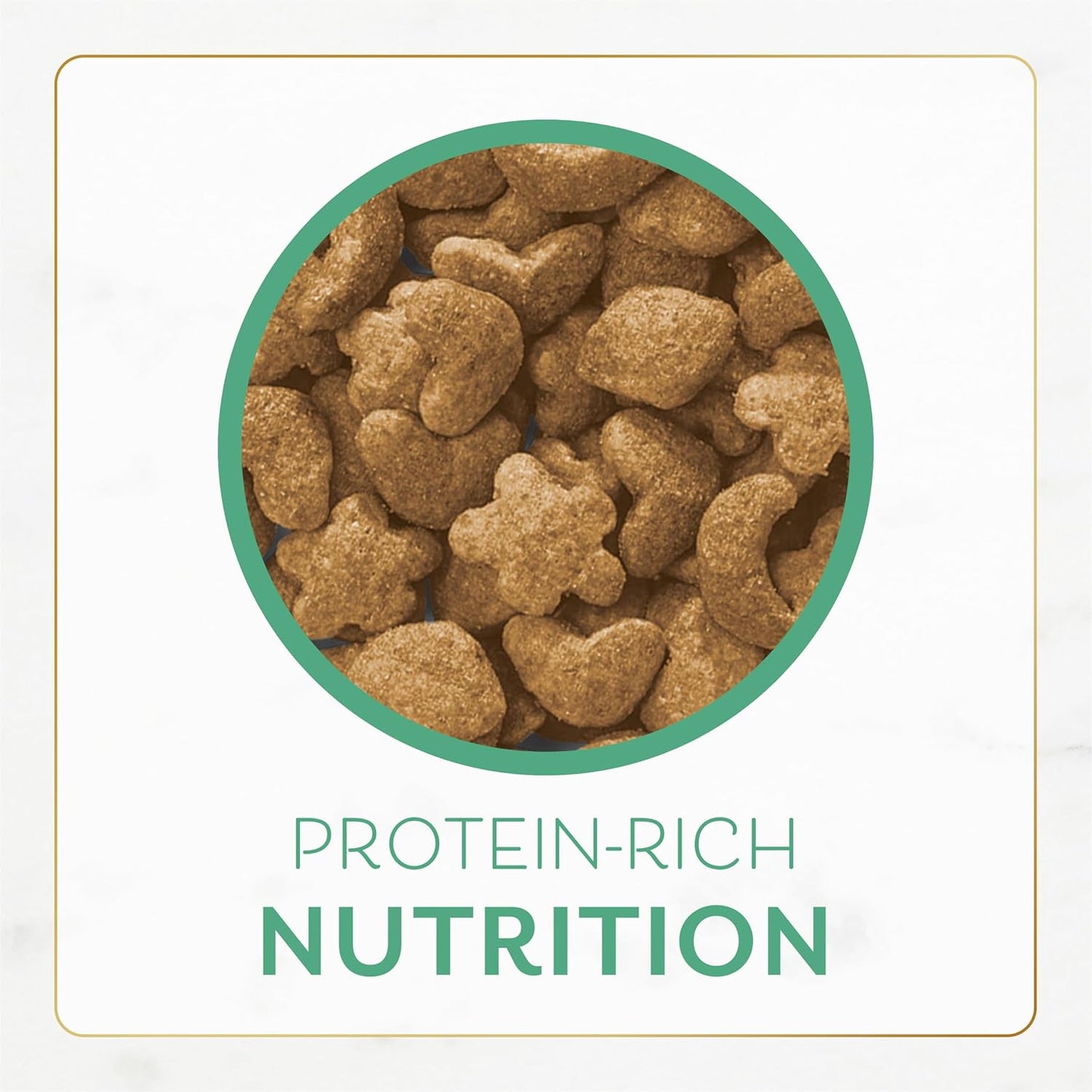 Purina Fancy Feast Dry Cat Food with Ocean Fish and Salmon - 3 lb. Bag