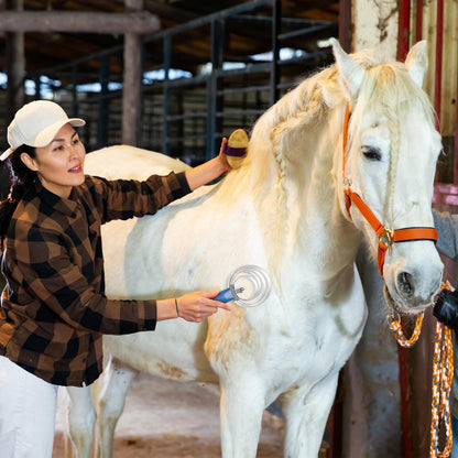 ZENFUN 6 Pcs Reversible Curry Combs, 4 Rings Stainless Steel Horse Curry Combs with Blue Rubber Grip, Double Sided Curry Brush, Horse Shedding Tool for Sheep, Cattle