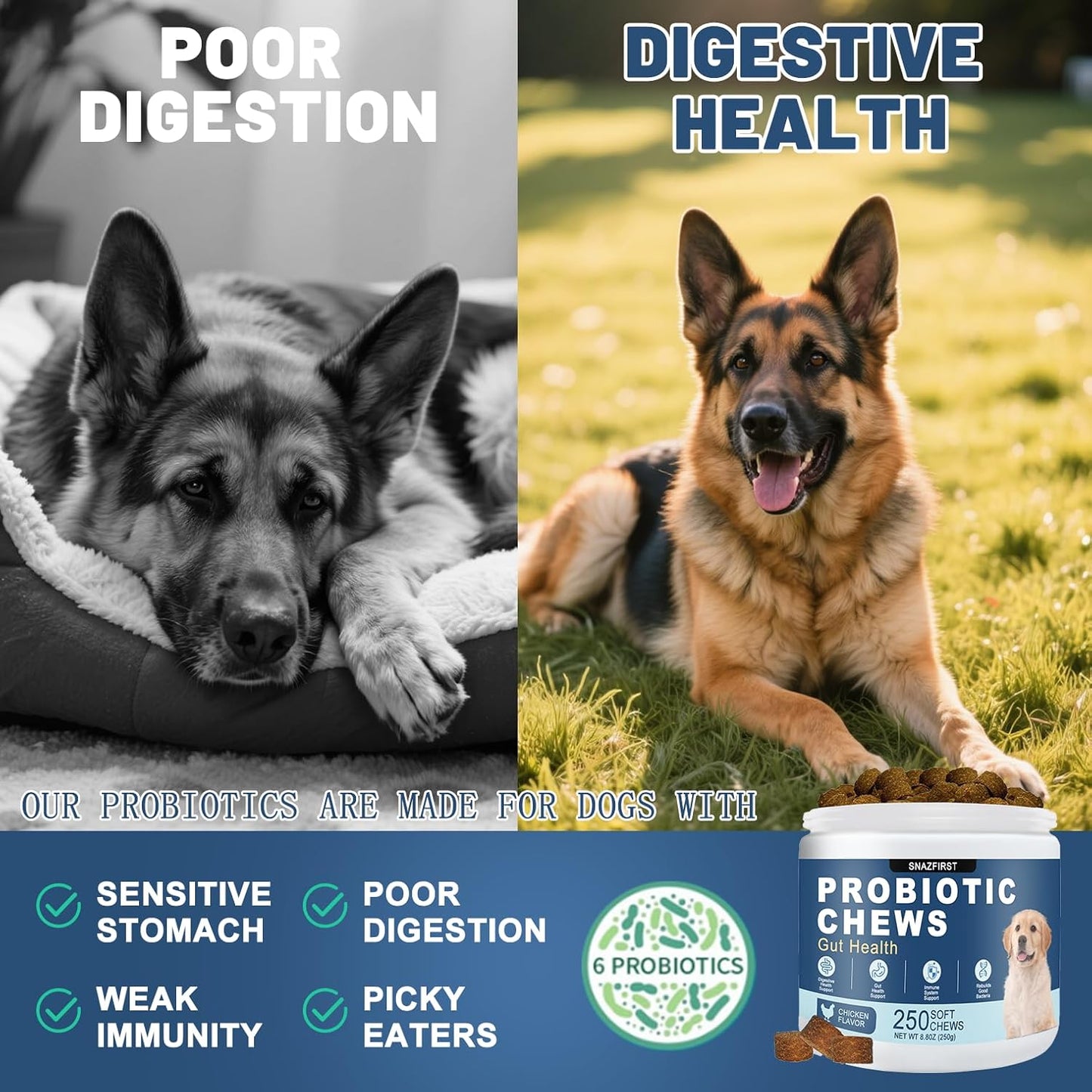 Probiotics for Dogs, Dog Probiotics Chews for Digestive Health & Gut Health, Improve Immune System,Constipation & Diarrhea Relief(Chicken Flavor, 250 Chews)