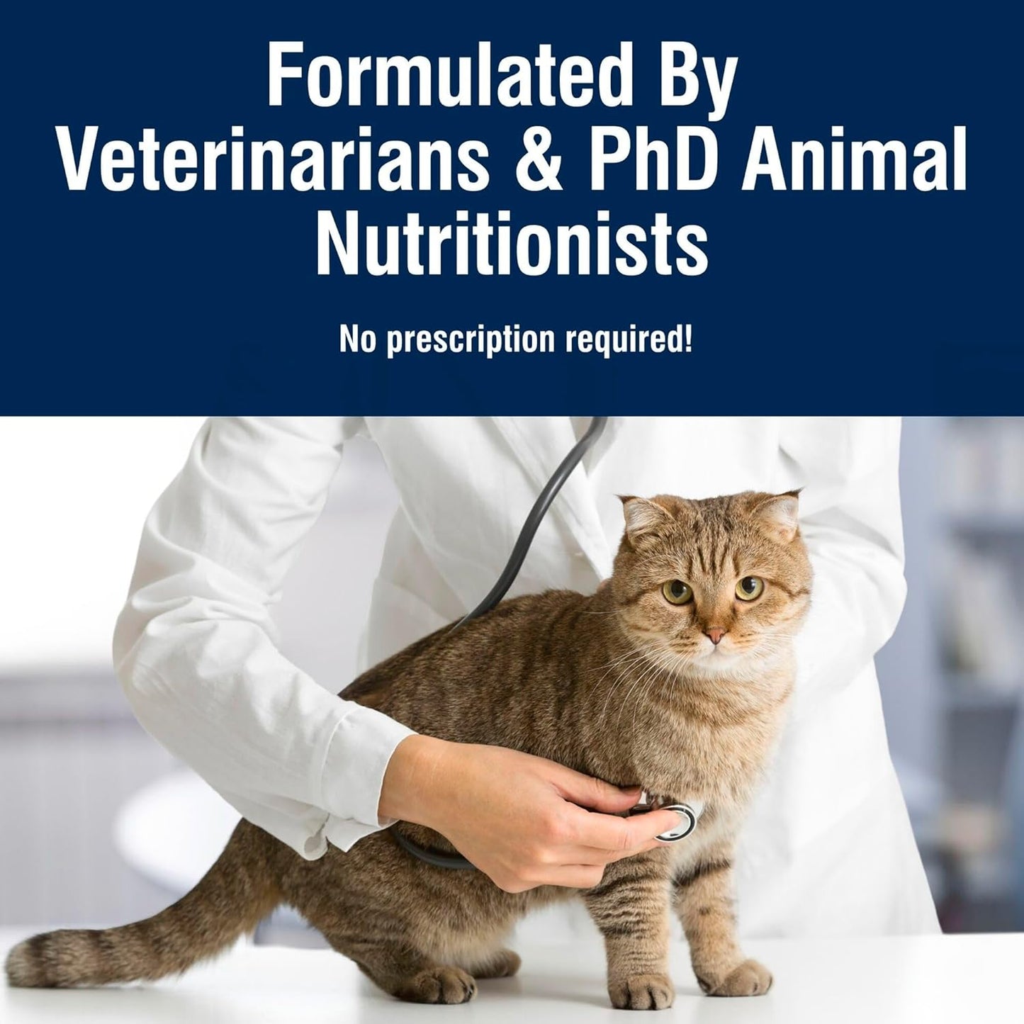 Blue Buffalo True Solutions Total Support Natural Dry Cat Food for Adult Cats, Chicken, 11-lb. Bag