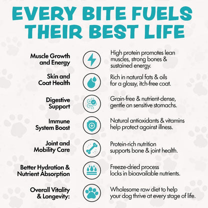 Freeze Dried Dog Food for Small & Large Breeds Dogs, 6 Oz Beef Dog Food Toppers for Picky Eatres, Made in USA - Grain Free & All Natural Freeze Dried Dog Treats Made with 96% Meat Organs