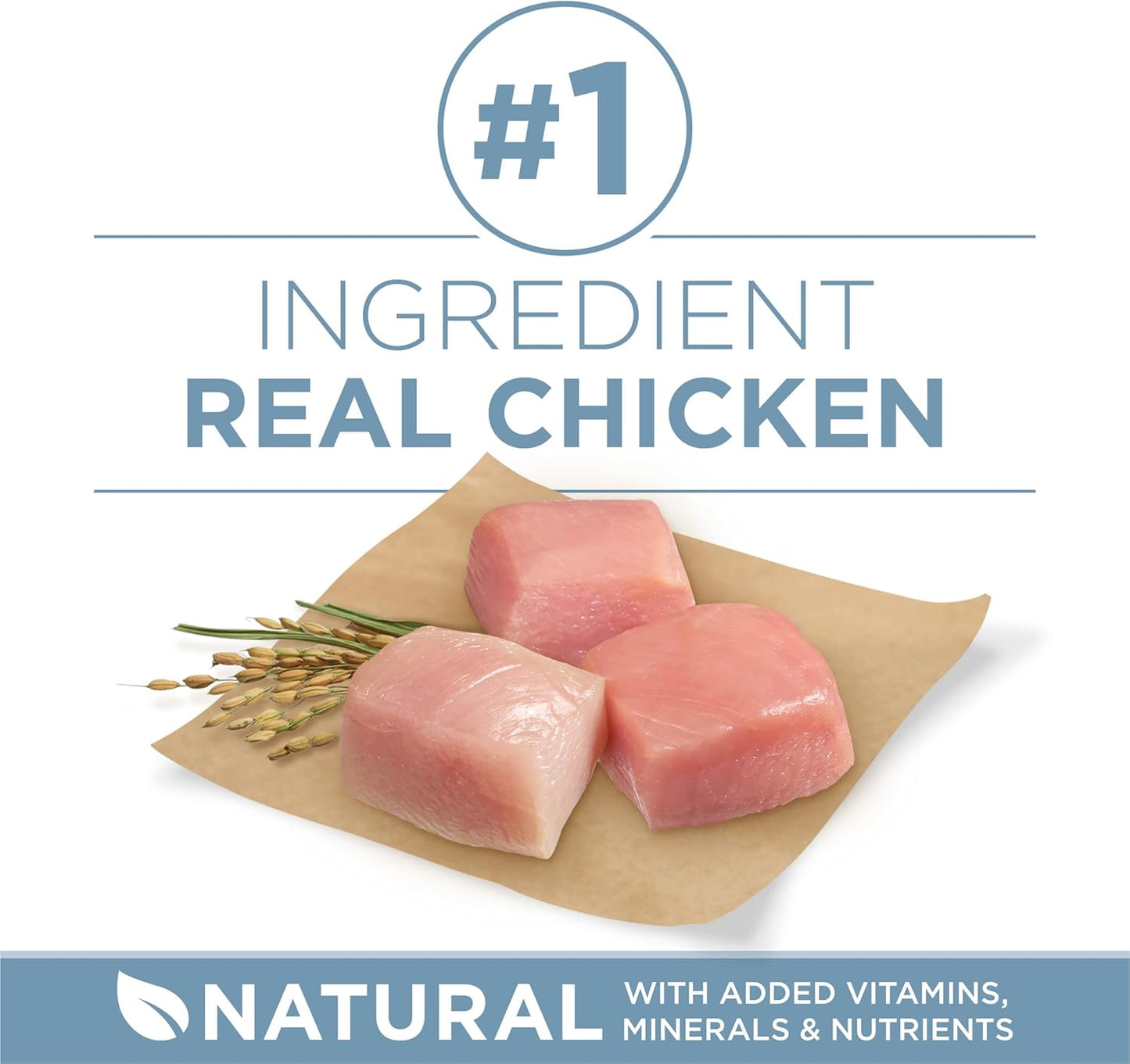 Purina ONE Plus Joint Health Formula Natural With Added Vitamins, Minerals and Nutrients Dry Dog Food - 16.5 lb. Bag