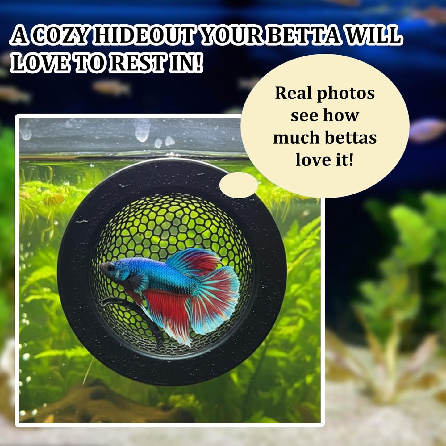 Betta Hammock, Floating Betta Hide, Fish Tank Cave for Betta Fish, Aquarium Decor, 2-Piece Set with 5 cm Training Mirror