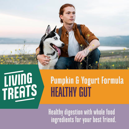 Whole Life Dog Living Treats for Dogs – Human Grade Probiotics for Digestive & Gut Health, Canine Gas, Diarrhea, Vomit & Constipation Relief - Pumpkin, 3 oz (Pack of 1)