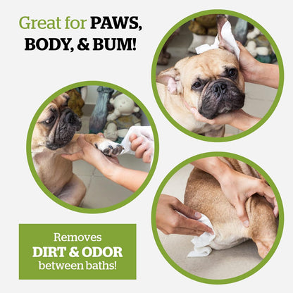 Pogi’s Dog Grooming Wipes – Hypoallergenic Pet Wipes for Paws, Body & Butt – Cleaning & Hydrating, Fragrance Free, 100-Count