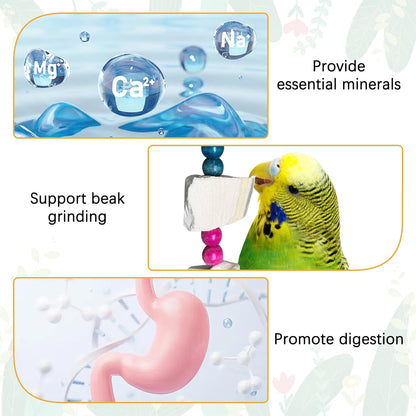 Hamiledyi 2 Pack Bird Toys with Five Cuttlebone - Natural Calcium Chew Toy for Beak Grinding, Hanging Wooden Cage Accessories for Parakeets, Budgies, Cockatiels, Lovebirds(Style C)