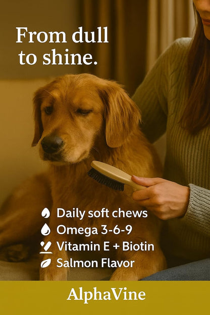 Skin & Coat Chews for Dogs, Salmon Flavor — 100 Soft Chews — Omega 3 6 9 from Fish Oil and Wild Alaskan Salmon Oil with Vitamin E and Biotin — Helps Maintain Healthy Skin and a Shiny Coat — AlphaVine