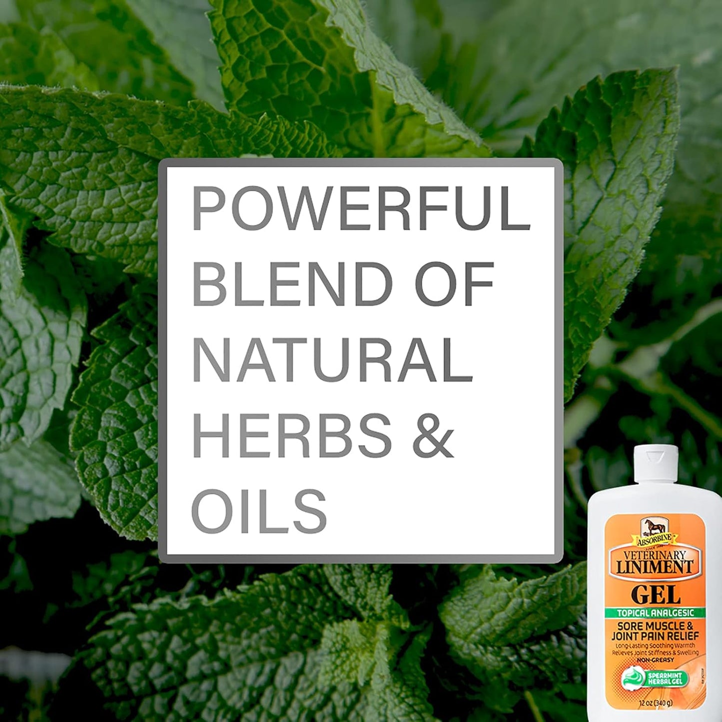 Absorbine Veterinary Liniment Gel, Topical Menthol Analgesic Rub for Sore Muscle, Joint & Arthritis Pain Relief, Combo Pack Includes 12oz Value Size + 3oz Travel Size