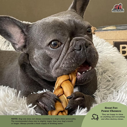 Redbarn Pet Products Recbarn Natural 12" Beef Collagen Braids - Case of 20 Sticks - Long Lasting Low-Odor Alternative to Rawhide & Bully Sticks -Single Ingredient Chew for Medium Large Dogs