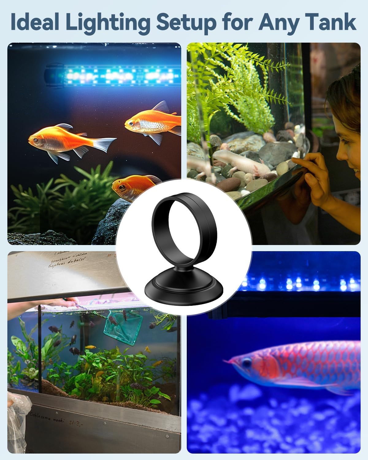 Pawfly 6 Pcs Fish Tank Tube Light Suction Cups Aquarium Suction Cups for 1" to 1.5" Wide Aquarium Tube Light Holders Suckers with 1 Inch Elastic Rubber Ring (Not for Airline Tubing)