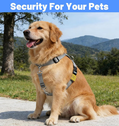 2 Pack Dog Collar Safety Clip, Adjustable Dog Safety Clip with Reflective Double Ended Backup Clasp, Leash Connector for Harness to Collar (Grey & Black)