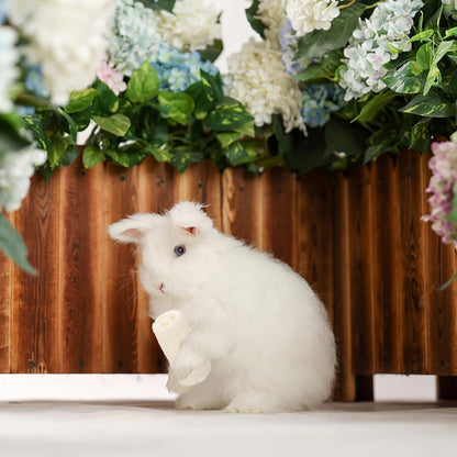 Natural Loofah Molar Chewing for Small Pets Rabbit Treats and Guinea Pig Stuff Safe Wear-Resistant Chew for Hamsters Chinchillas Mice and Bunnies to Promote Dental Health and