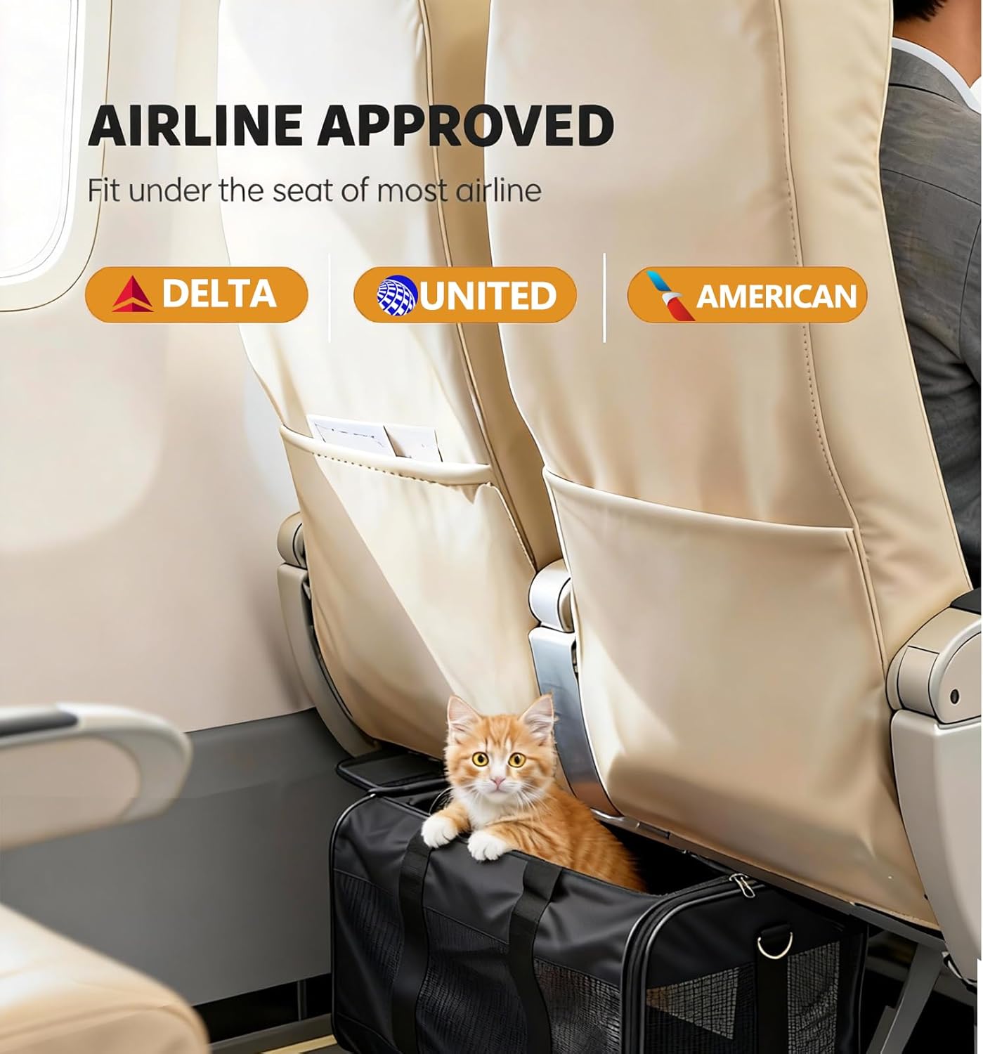 Simple Deluxe Airline-Approved Cat Carrier, 17" x 12" x 12", Soft-Sided Pet Carrier for Cats, Small Dogs, Kittens & Puppies up to 17 lbs, Durable & Collapsible Travel Carrier, Black