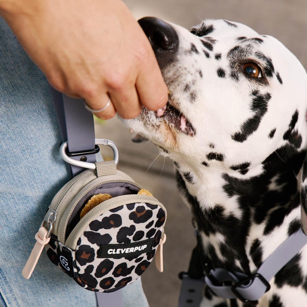 Training Sling & Snackpack Double Insulated Treat Pouch in Leopard