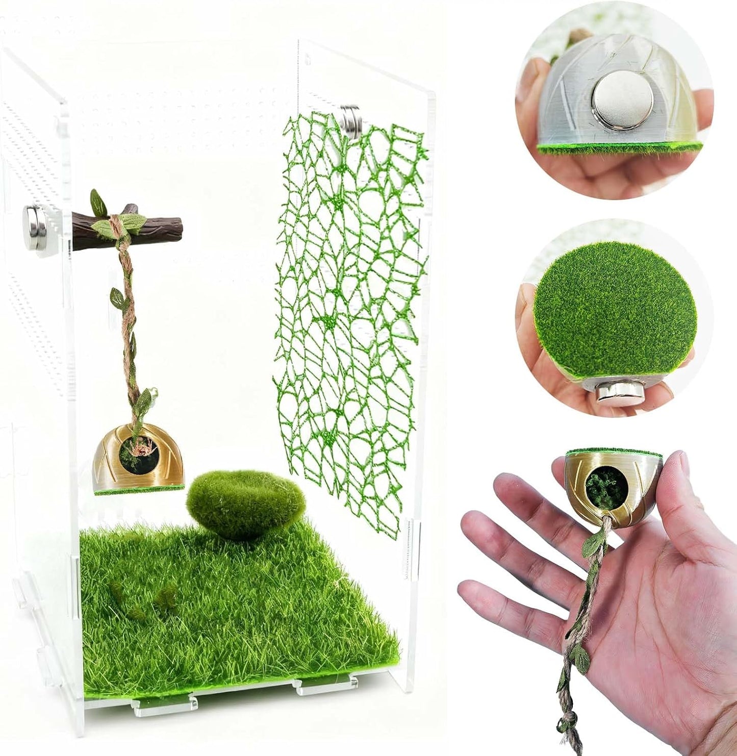 Jumping Spider Enclosure Accessories - Shelter and 2 Webbed Moss Ribbon | Tarantulas, Geckos Habitat Decor with Magnets for Small Reptiles, Cave, Hide, Climbing (Steel Hemisphere)