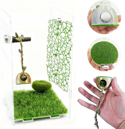 Jumping Spider Enclosure Accessories - Shelter and 2 Webbed Moss Ribbon | Tarantulas, Geckos Habitat Decor with Magnets for Small Reptiles, Cave, Hide, Climbing (Steel Hemisphere)