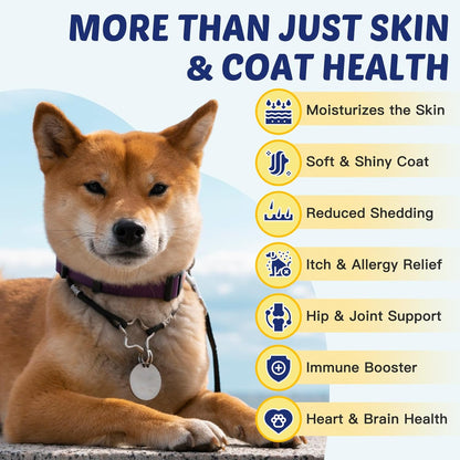 ZEBORA Glucosamine for Dogs, Omega 3 Fish Oil for Dogs Skin and Coat