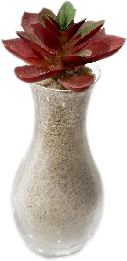 2 Pounds Natural Decorative Real Sand for use in Crafts, Decor, Vase Filler and More | Natural and Non-Toxic, Fun Wet and Dry Indoor and Outdoor, Sandbox, Therapy, and Table Use