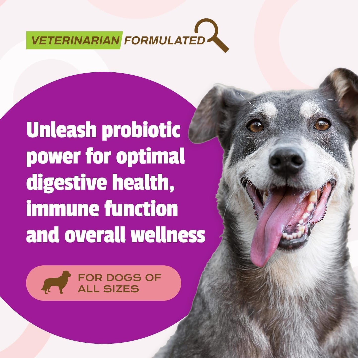 Pet Naturals Daily Probiotic for Dogs, Duck Flavor, 320 Chews - 120M CFUs Pre and Probiotics for Dogs Digestive Health, Gut Health, Immune Support, Diarrhea, Allergies and Itching