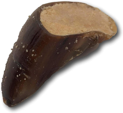 Top Dog Chews - 5 Pack of Peanut Butter Filled Cow Hooves Dog Treats. Long Lasting Natural Dog Chews, Great for Aggressive Chewers, (5 Pack, Peanut Butter)