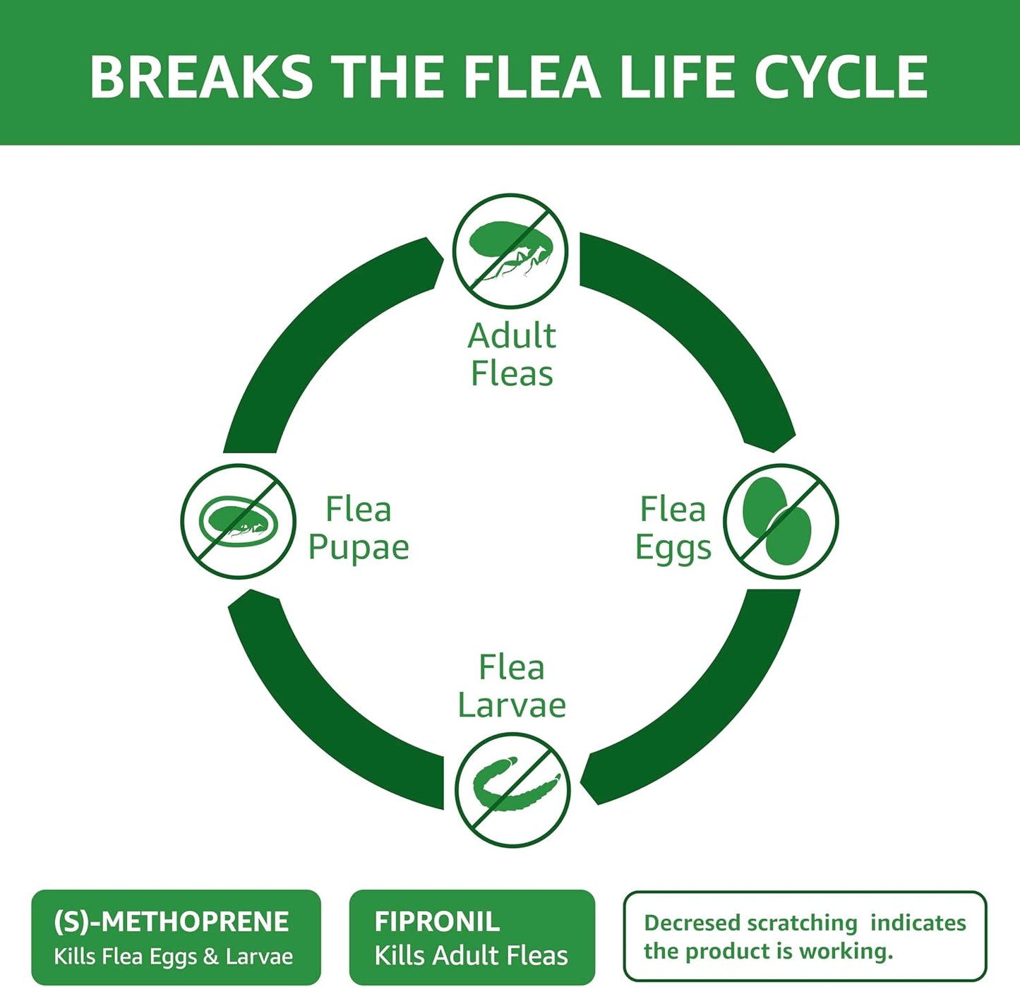 Amazon Basics PreventativeFlea and Tick Topical Treatment for Cats (Over 1.5 Pounds), 3 Count