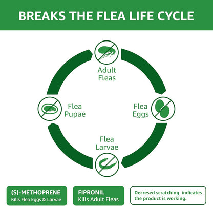 Amazon Basics PreventativeFlea and Tick Topical Treatment for Cats (Over 1.5 Pounds), 3 Count