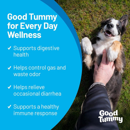 Good Tummy Probiotic Chews for Dogs – Supports Digestive Health, Controls Gas, Promotes Healthy Immune Function – Beef Flavor, 60 Soft Chews
