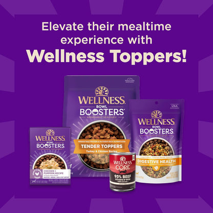 Wellness CORE+ Sensitive Skin & Stomach Dry Dog Food with Freeze Dried Pieces, Wholesome Grains, High Protein, Natural, Salmon & Rice Recipe, (4-Pound Bag)