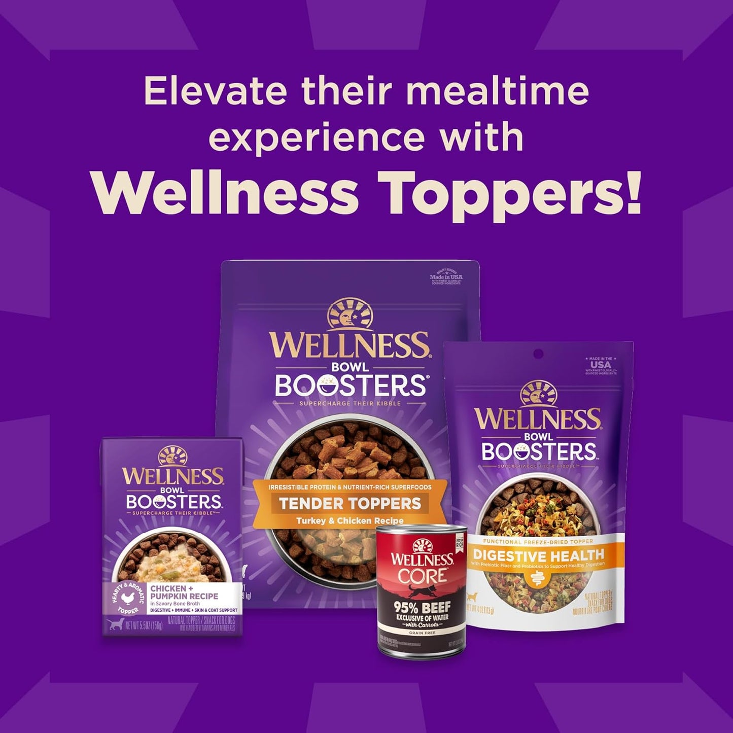 Wellness CORE+ Sensitive Skin & Stomach Dry Dog Food with Freeze Dried Pieces, Wholesome Grains, High Protein, Natural, Salmon & Rice Recipe, (4-Pound Bag)