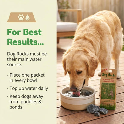 Dog Rocks for Urine Burning Grass - 200g Natural Pet Rock to Help Maintain Green Lawn - Grass Savers for Dog Urine - 2 Month Supply for Use in Water Bowls or Yard