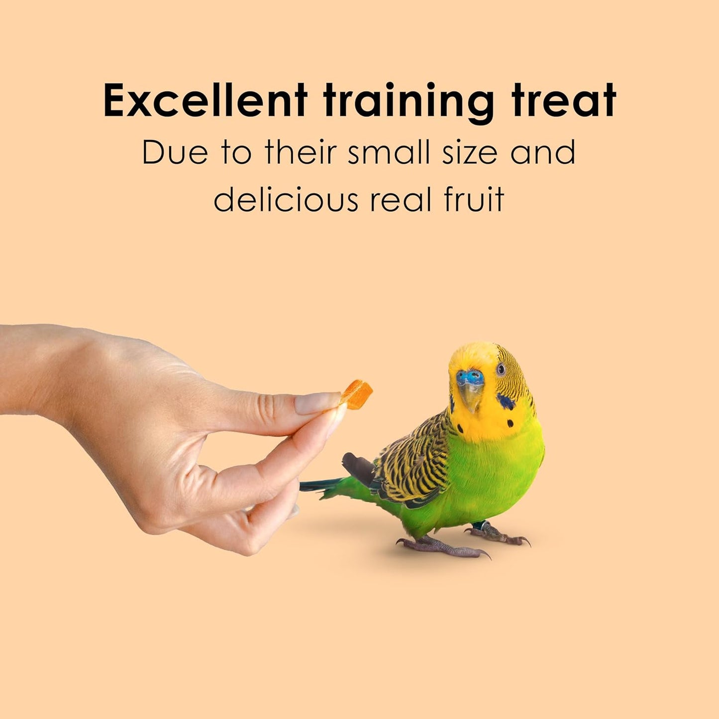 Kaytee Fiesta Healthy Toppings Papaya Bits For All Pet Birds, 2.5-Oz Bag