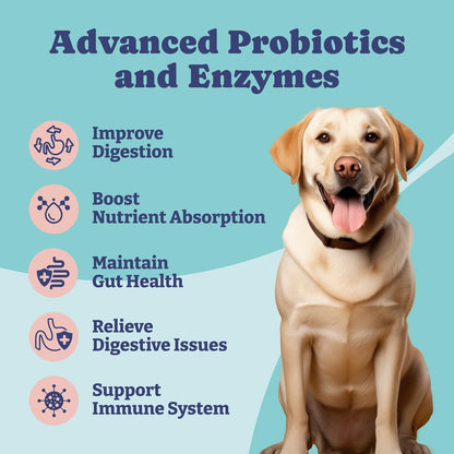 Probiotics for Dogs, Dog Probiotics and Digestive Enzymes, Pre & Probiotic Over 1 Billion CFUs, for Gut Health and Digestive Health, Yeast Balance, Immune Support, 90 Soft Chews