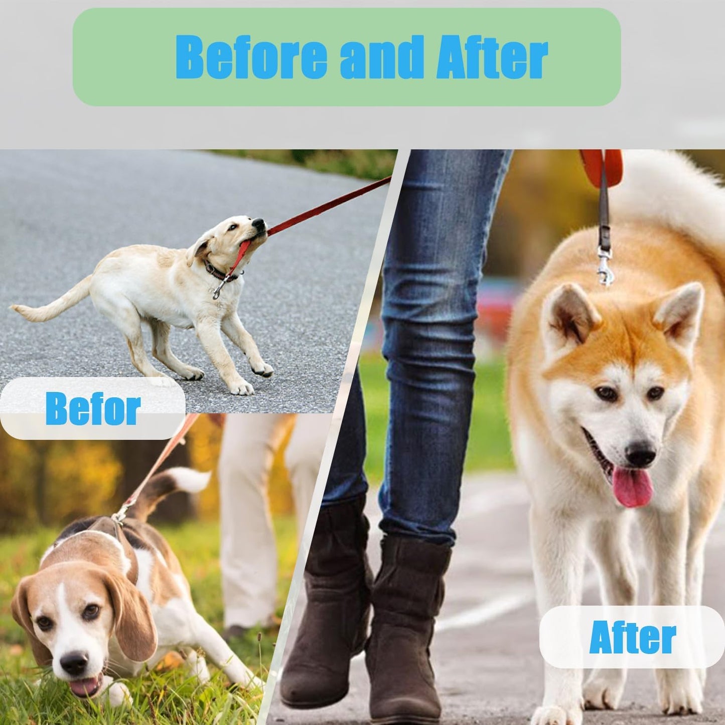 Dog Collar with Quick Release Buckle Adjustable Dogs Collars for Small Medium Large Dogs