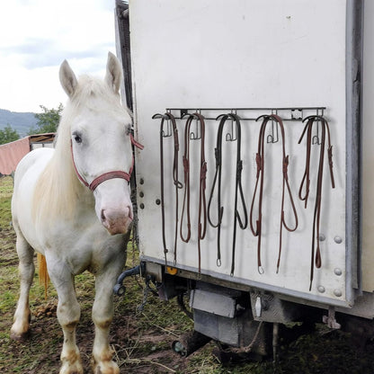 Zonon Horse Tack Bridle Hooks Metal Horse Bridle Rack Stall Hanger for Tack Harness Storage Stall Fence Barn Supplies (1 Pcs,Five Hooks)