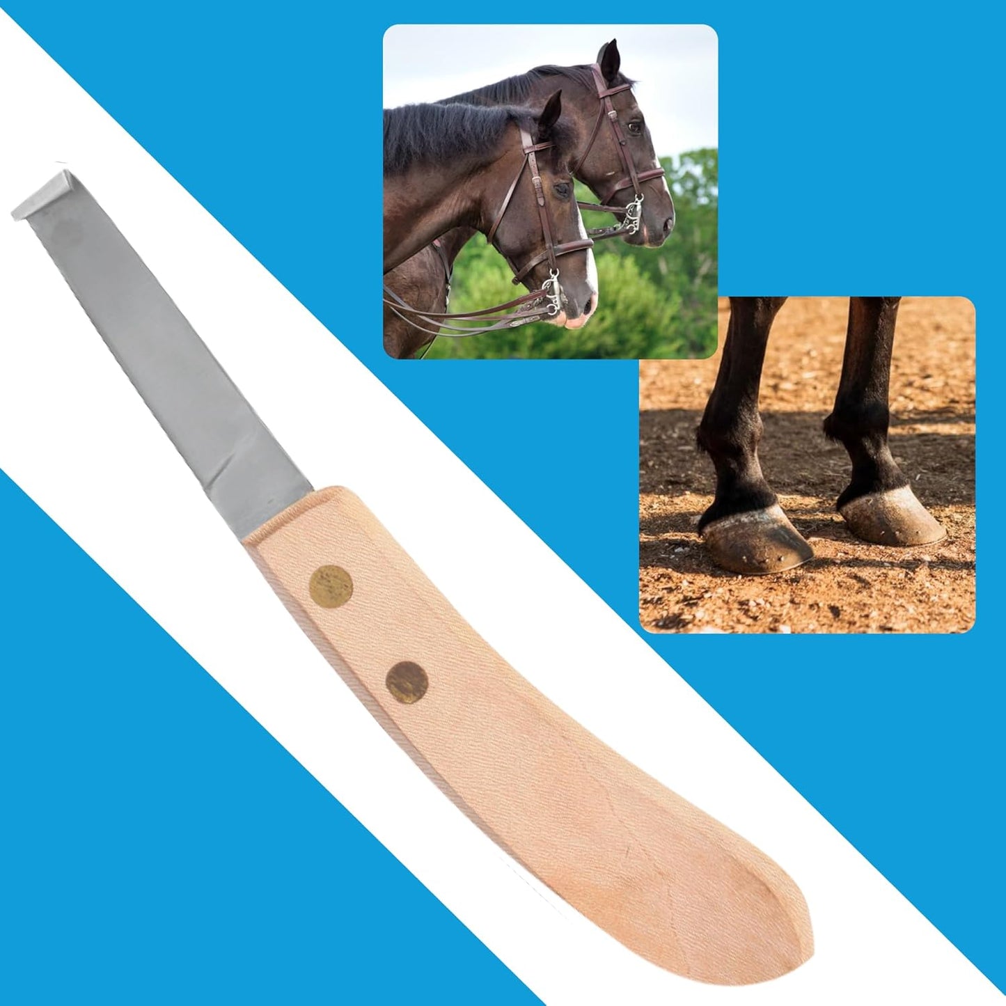 Hoof Knife Single Sided Edge Wide Blade – Stainless Steel Curved Blade Farrier Tool with Fine Wooden Grip, Multipurpose Hoof Trimming Knife for Livestock, 3-Inch Blade, 8.5-Inch Overall