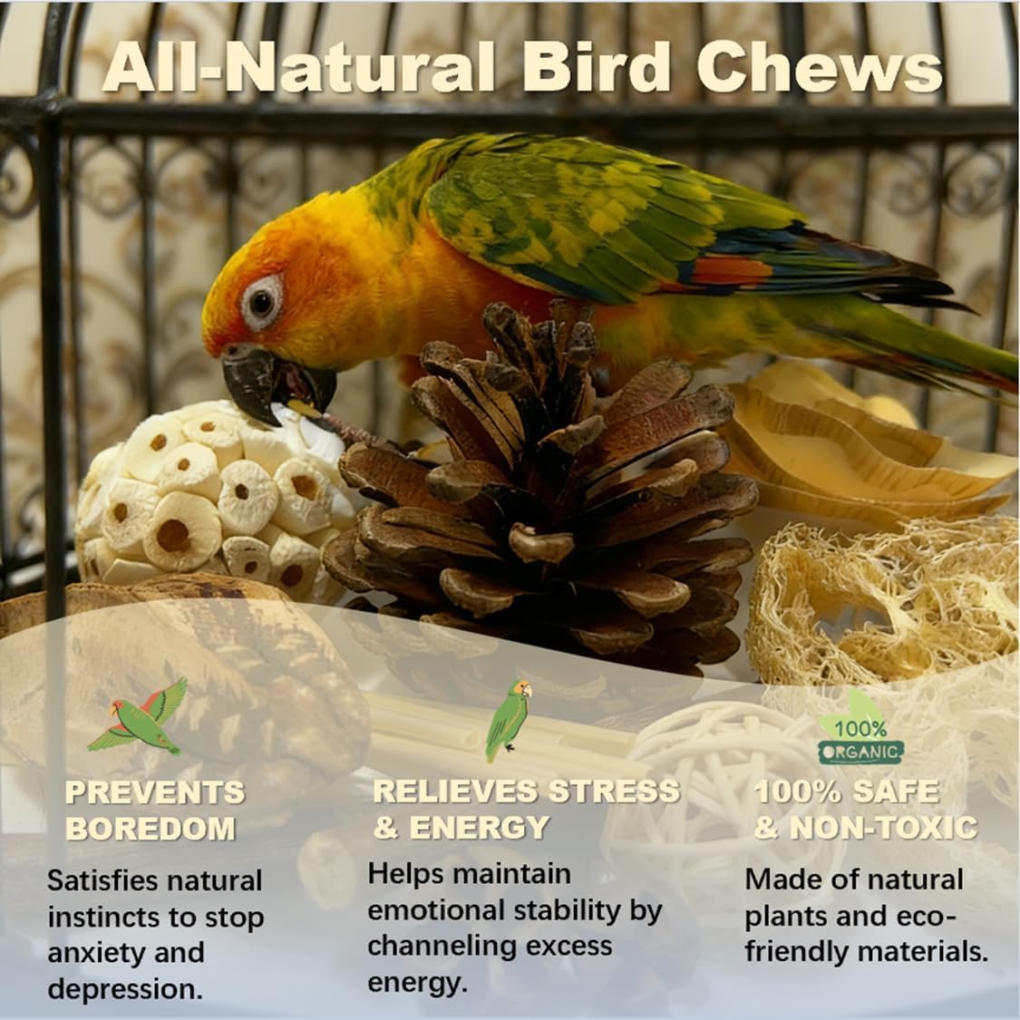 Bird Toys - Sola Ball Foraging Box Bundle with 9Pcs Small Natural Sola Balls for Extra Cage Enrichment, Ideal for Parakeets/Cockatiels/Conures/Lovebirds and Small to Medium Birds