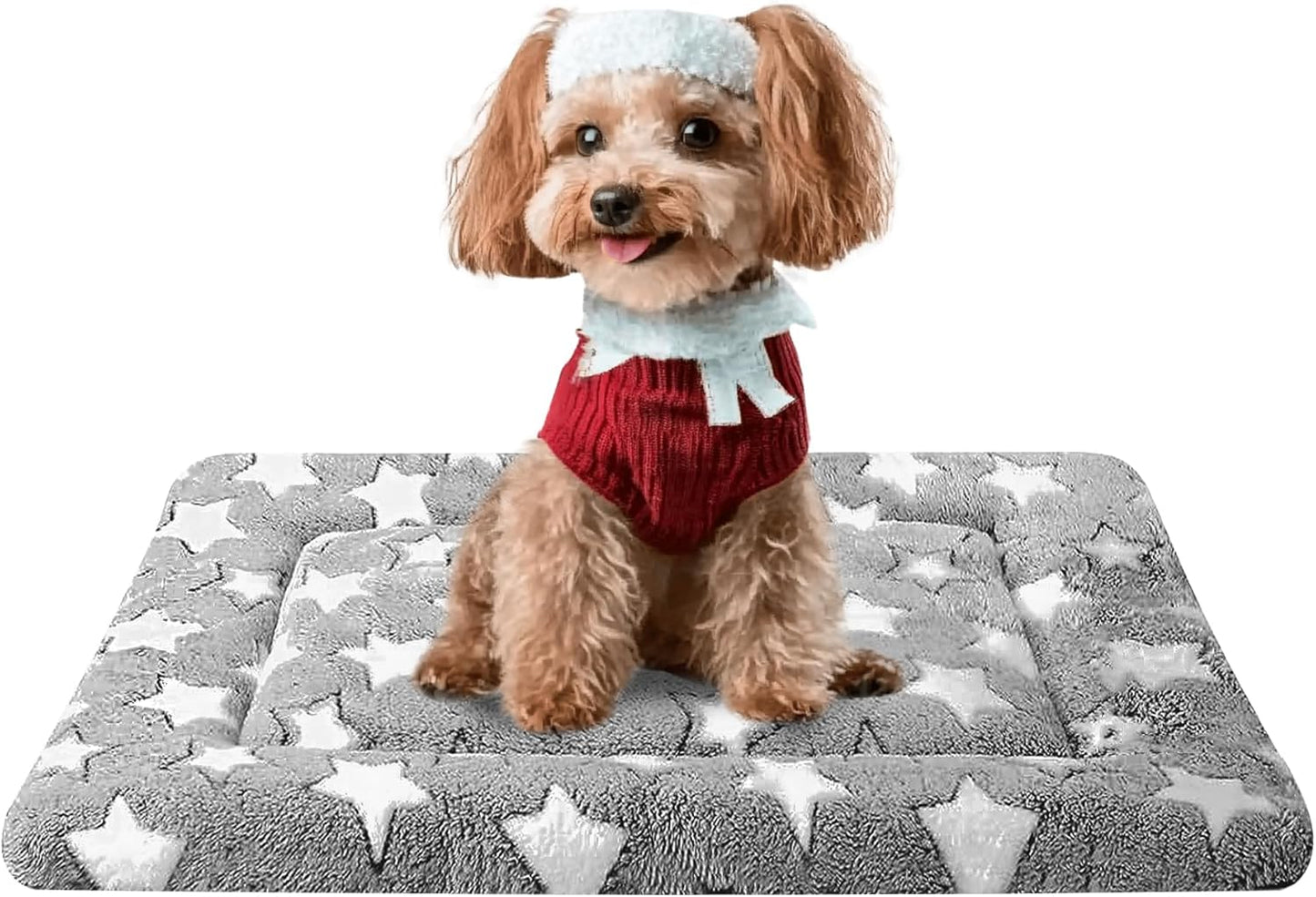 Dog Bed Mat, Reversible Crate Pad & Cute Dog Bed - Machine Washable Kennel Mat with Ultra Soft for Small Dogs (Cool/Warm), 24" x 18", Grey&Star